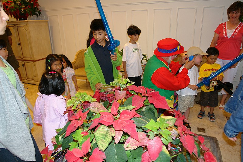 dsc02726 dsc02726