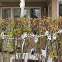 halloween_2011_023
