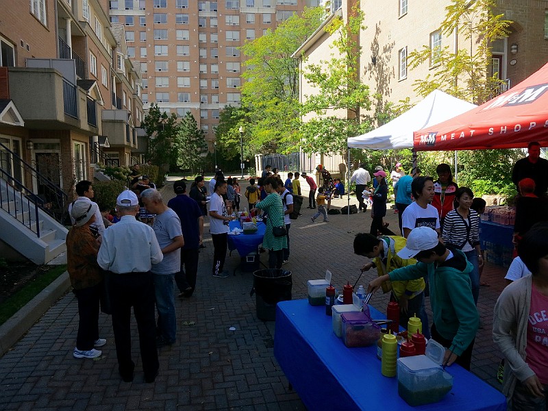 IMG_2532 IMG_2532